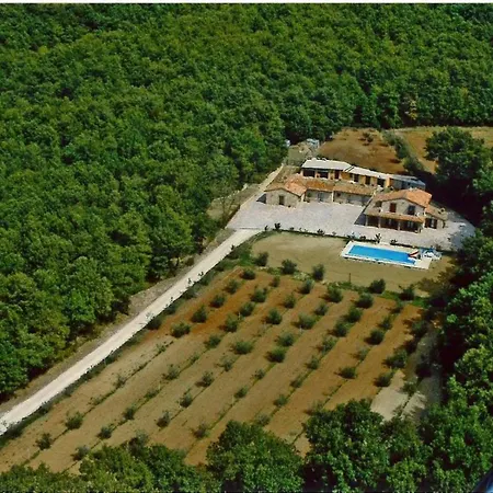 Apartment Elena *
